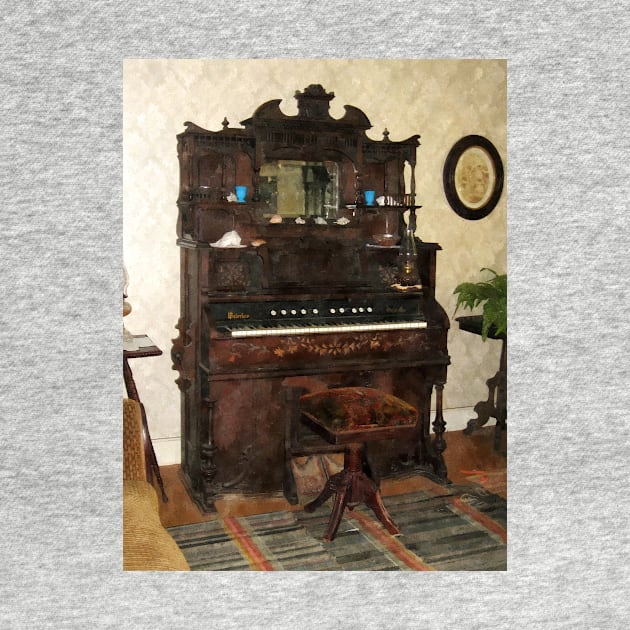 Music - Large Organ in Parlor by SusanSavad